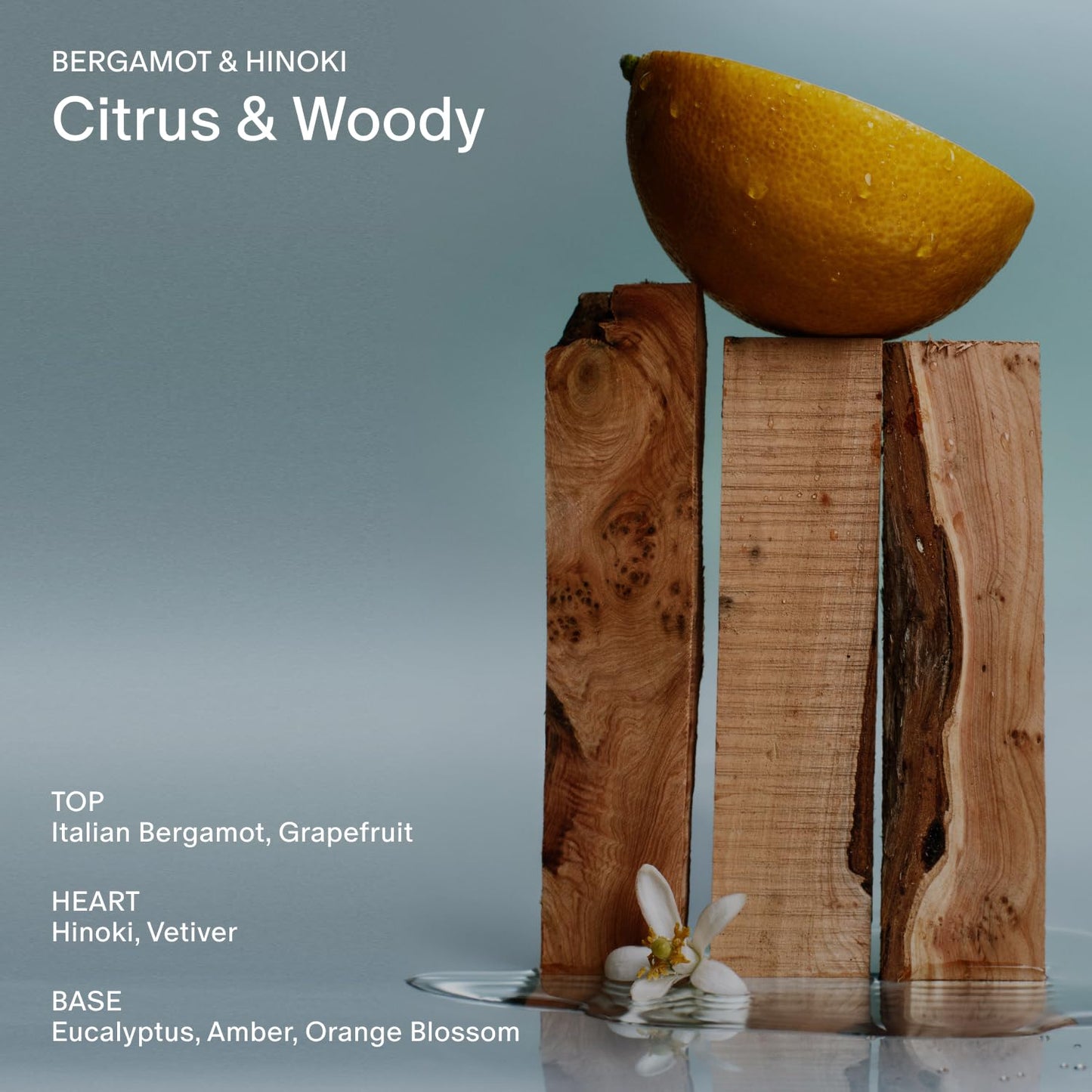 SALT & STONE Aluminum Free Deodorant